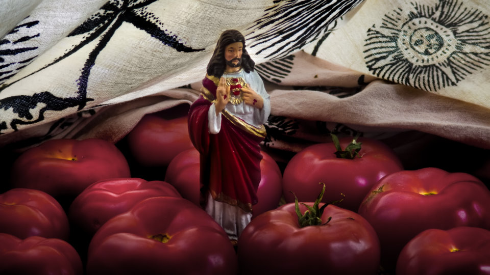 tomato jesus