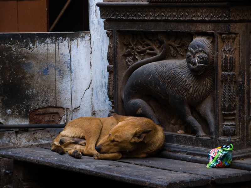 Old Delhi, India. Rytis Kurkulis photography.