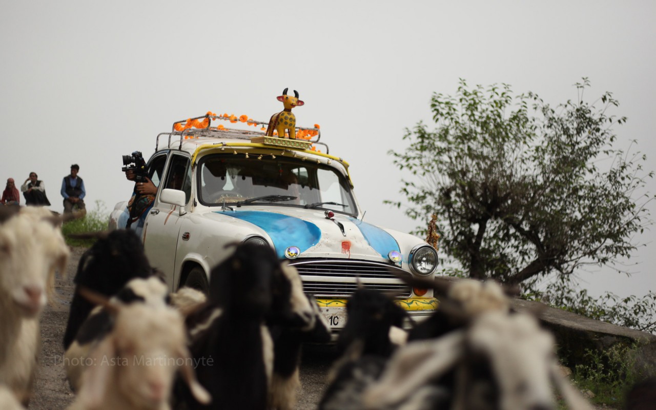 Shooting of Holy Cow / filmuojant Šventą karvę Shooting Holy Cow